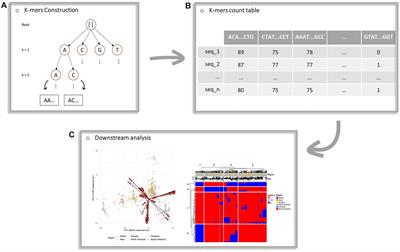 A Computational Framework for Pattern Detection on Unaligned Sequences: An Application on SARS-CoV-2 Data